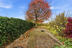 DSC03233.jpg - Foto 73