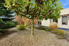 DSC03242.jpg - Foto 77