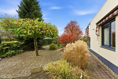 DSC03245.jpg - Foto 78