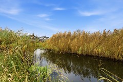 DSC03263.jpg - Foto 84