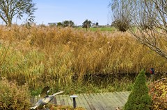 DSC03322.jpg - Foto 87