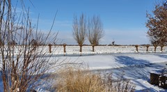 20210209_112445.jpg - Foto 88