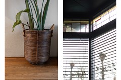 Staand-07 copy.jpg - Foto 5