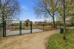 DSC09262.jpg - Foto 43