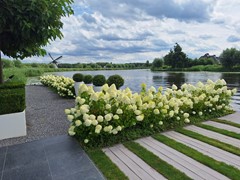 IMG-20250729-WA0001.jpg - Foto 83