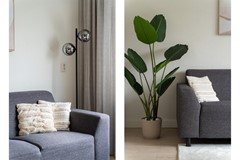 Staand-05 copy.jpg - Foto 5