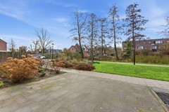 DSC05038.jpg - Foto 42