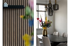 Staand-04 copy.jpg - Foto 12