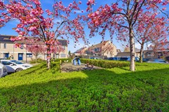 DSC00621.jpg - Foto 53