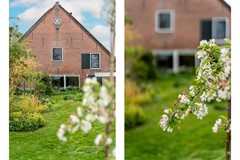 Staand-04 copy.jpg - Foto 79