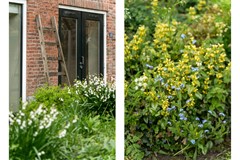 Staand-03 copy.jpg - Foto 93