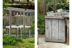 Staand-01 copy.jpg - Foto 98