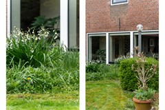 Staand-02 copy.jpg - Foto 102