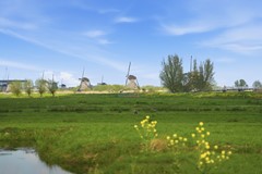 DSC03273.jpg - Foto 57