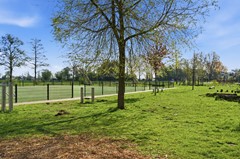 DSC03284.jpg - Foto 59