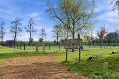 DSC03281.jpg - Foto 58