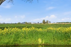 DSC03287.jpg - Foto 60