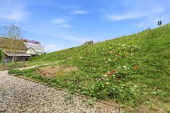 DSC05453.jpg - Foto 49