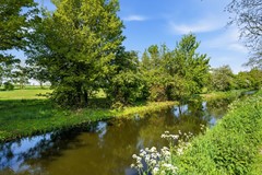 DSC07094.jpg - Foto 42