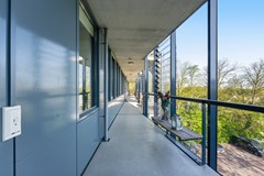 DSC07868.jpg - Foto 34