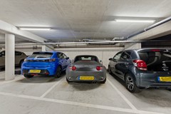 DSC07904.jpg - Foto 39