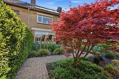 DSC03525.jpg - Foto 53