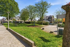 DSC03599.jpg - Foto 57