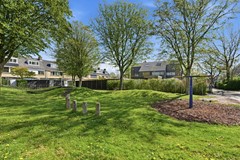 DSC03614.jpg - Foto 59