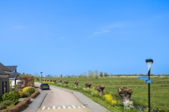 Waterlelie 23_02.jpg - Foto 47