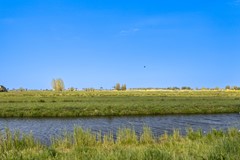 Waterlelie 23_52.jpg - Foto 49