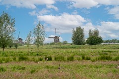 DSC04868.jpg - Foto 2