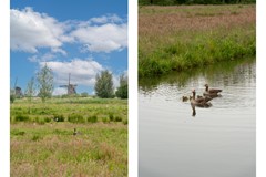Staand-07 copy.jpg - Foto 74