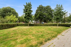 DSC00842.jpg - Foto 59