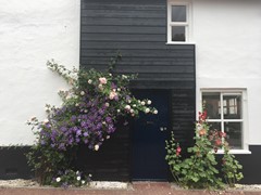 Huis voorgevel met Rozen_01.jpg - Foto 5