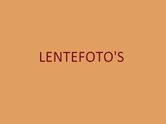 LENTEFOTO'S.jpg