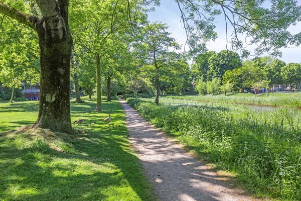 Medium property photo - Brahmsstraat 10, 8031 DB Zwolle
