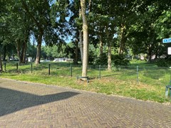 IMG_0205.jpg