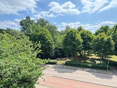 IMG_0328.jpg