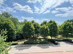 IMG_0329.jpg