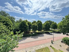 IMG_0330.jpg
