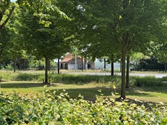 IMG_0336.jpg