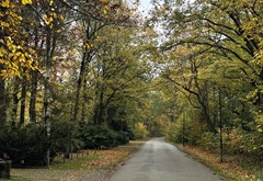 IMG_0337.jpg