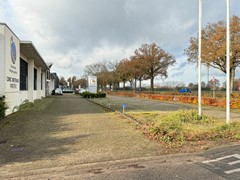 IMG_7932.jpg