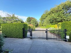 IMG_0380.jpg