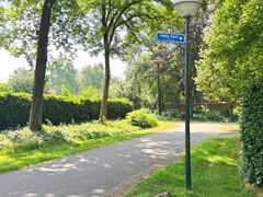 IMG_0451.jpg