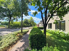 IMG_0567.jpg