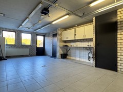 IMG_8499.jpg