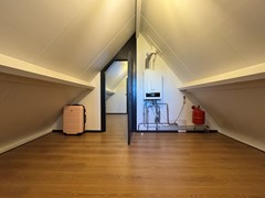IMG_8529.jpg