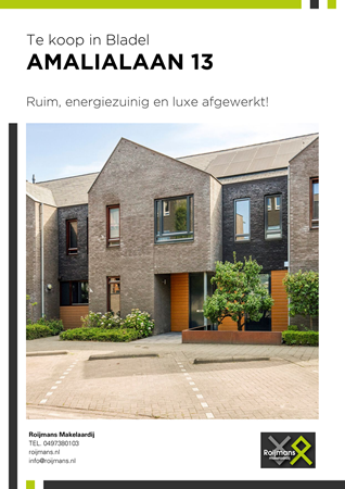 Brochure preview - Amalialaan 13, 5531 JJ BLADEL (1)