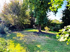 IMG_1231.jpg